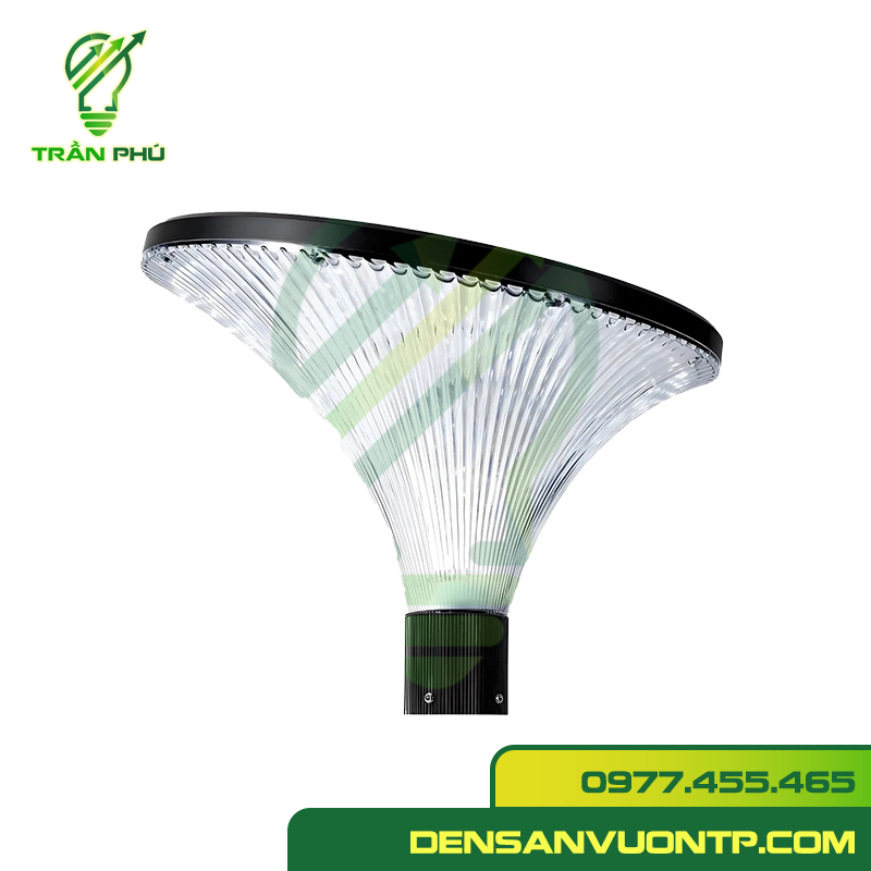 TPNSV11